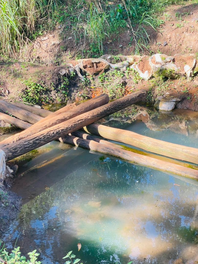 clean water wale wale1 (1)